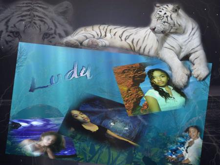 ~*�*Ludy candy_tiger*�*~